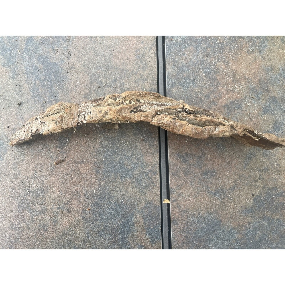 Natural Driftwood for‎ Plants Terrarium Taxidermy Art Projects